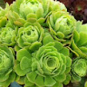 Meet your Posher, Bin